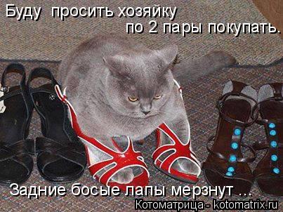 Буду просить хозяйку по 2 пары покупать. Задние босые лапы мерзнут ...... Котоматрица: Буду просить хозяйку по 2 пары покупать. Задние босые лапы мерзнут ...