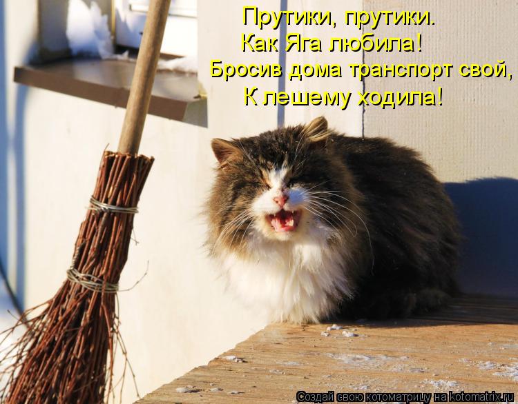 Бросив дома транспорт свой, К лешему ходила! Как Яга любила! Прутики, прутики.... Котоматрица: Бросив дома транспорт свой, К лешему ходила! Как Яга любила! Прутики, прутики.