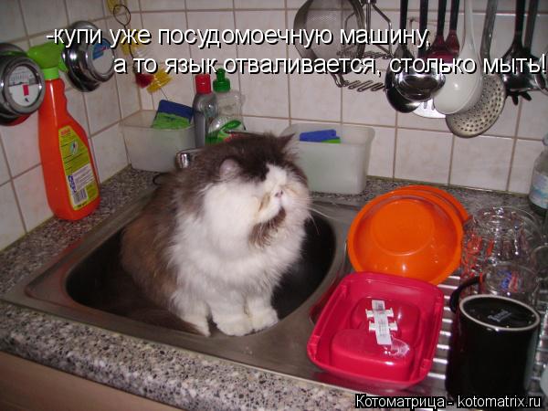 -купи уже посудомоечную машину, а то язык отваливается, столько мыть!... Котоматрица: -купи уже посудомоечную машину, а то язык отваливается, столько мыть!