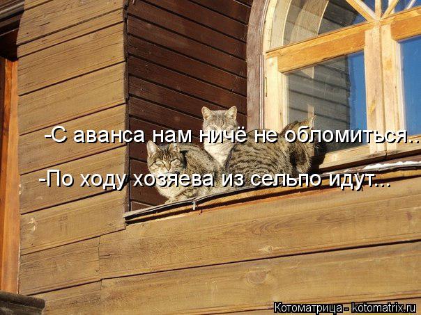 -По ходу хозяева из сельпо идут... -С аванса нам ничё не обломиться....... Котоматрица: -По ходу хозяева из сельпо идут... -С аванса нам ничё не обломиться....