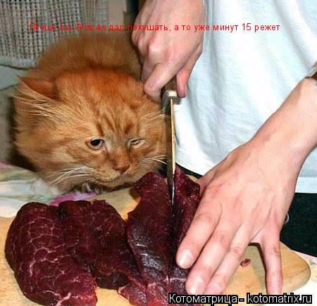 Лучше бы Wiscas дал покушать, а то уже минут 15 режет... Котоматрица: Лучше бы Wiscas дал покушать, а то уже минут 15 режет