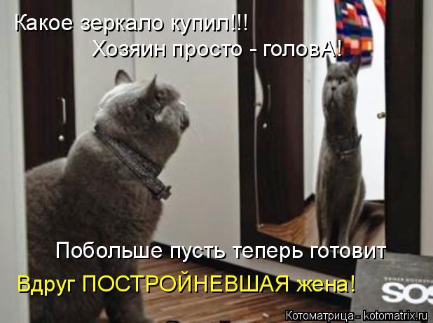 Какое зеркало купил!!! Хозяин просто - головА! Побольше пусть теперь готовит Вдруг ПОСТРОЙНЕВШАЯ жен... Котоматрица: Какое зеркало купил!!! Хозяин просто - головА! Побольше пусть теперь готовит Вдруг ПОСТРОЙНЕВШАЯ жена!