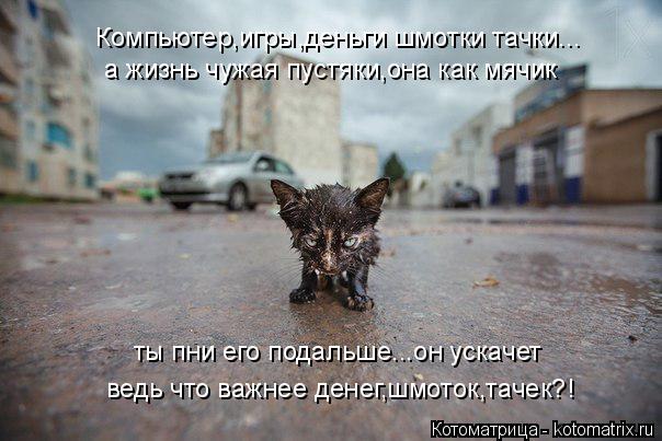 Компьютер,игры,деньги шмотки тачки... а жизнь чужая пустяки,она как мячик ты пни его подальше...он ус... Котоматрица: Компьютер,игры,деньги шмотки тачки... а жизнь чужая пустяки,она как мячик ты пни его подальше...он ускачет ведь что важнее денег,шмоток,тачек?