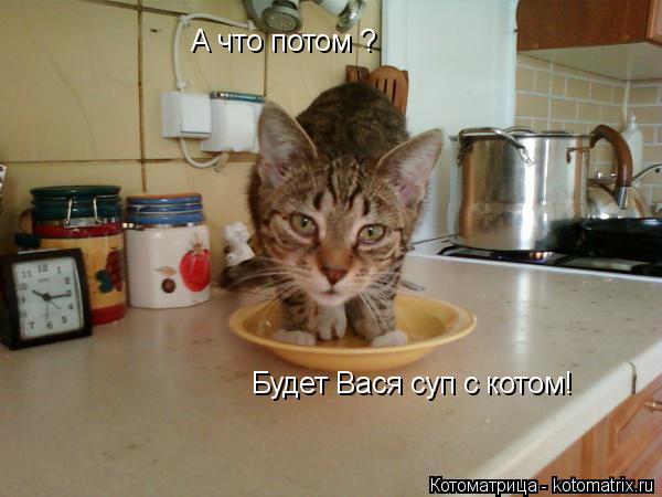 А что потом ? Будет Вася суп с котом!... Котоматрица: А что потом ? Будет Вася суп с котом!