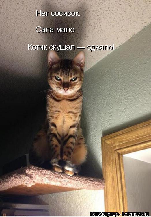 Нет сосисок. Сала мало. Котик скушал — одеяло!... Котоматрица: Нет сосисок. Сала мало. Котик скушал — одеяло!