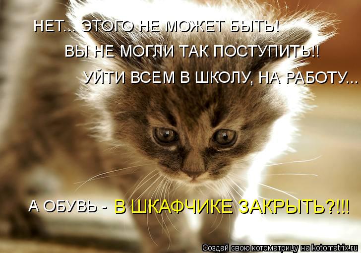 НЕТ... ЭТОГО НЕ МОЖЕТ БЫТЬ! ВЫ НЕ МОГЛИ ТАК ПОСТУПИТЬ!! УЙТИ ВСЕМ В ШКОЛУ, НА РАБОТУ... А ОБУВЬ - В Ш... Котоматрица: НЕТ... ЭТОГО НЕ МОЖЕТ БЫТЬ! ВЫ НЕ МОГЛИ ТАК ПОСТУПИТЬ!! УЙТИ ВСЕМ В ШКОЛУ, НА РАБОТУ... А ОБУВЬ - В ШКАФЧИКЕ ЗАКРЫТЬ?!!!