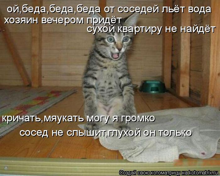 ой,беда,беда,беда от соседей льёт вода хозяин вечером придёт сухой квартиру не найдёт кричать,мяукать... Котоматрица: ой,беда,беда,беда от соседей льёт вода хозяин вечером придёт сухой квартиру не найдёт кричать,мяукать могу я громко сосед не слышит,глухой