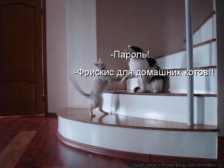 -Пароль! -Фрискис для домашних котов!!... Котоматрица: -Пароль! -Фрискис для домашних котов!!