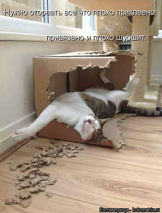 Нужно оторвать все что плохо приклеено, привязано и плохо шуршит.... Котоматрица: Нужно оторвать все что плохо приклеено, привязано и плохо шуршит.
