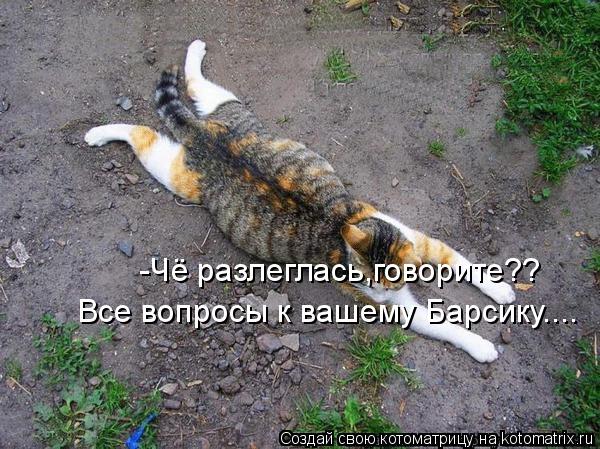 -Чё разлеглась,говорите?? Все вопросы к вашему Барсику....... Котоматрица: -Чё разлеглась,говорите?? Все вопросы к вашему Барсику....