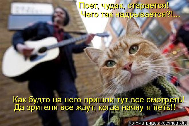 Поет, чудак, старается! Чего так надрывается?!... Как будто на него пришли тут все смотреть! Да зрите... Котоматрица: Поет, чудак, старается! Чего так надрывается?!... Как будто на него пришли тут все смотреть! Да зрители все ждут, когда начну я петь!!