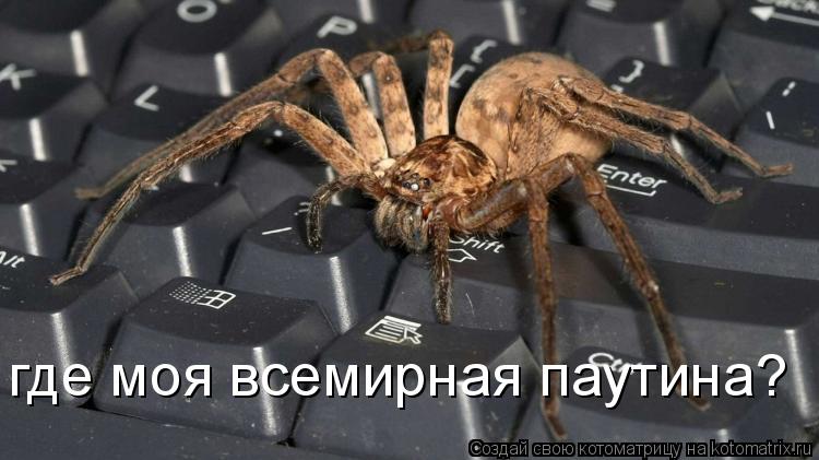 где моя всемирная паутина?... Котоматрица: где моя всемирная паутина?