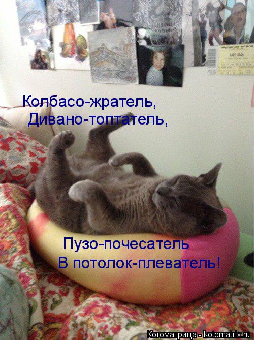 Колбасо-жратель, Дивано-топтатель, Пузо-почесатель В потолок-плеватель!... Котоматрица: Колбасо-жратель, Дивано-топтатель, Пузо-почесатель В потолок-плеватель!