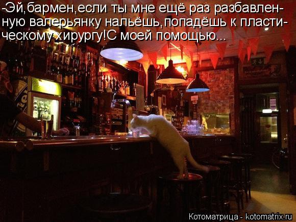 -Эй,бармен,если ты мне ещё раз разбавлен- ную валерьянку нальёшь,попадёшь к пласти- ческому хирургу!С... Котоматрица: -Эй,бармен,если ты мне ещё раз разбавлен- ную валерьянку нальёшь,попадёшь к пласти- ческому хирургу!С моей помощью...