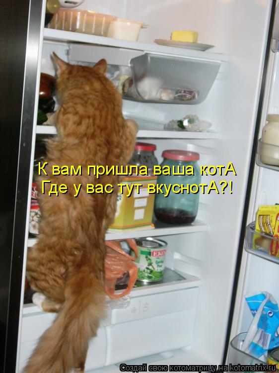 К вам пришла ваша котА Где у вас тут вкуснотА?!... Котоматрица: К вам пришла ваша котА Где у вас тут вкуснотА?!