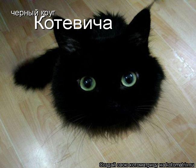 черный круг Котевича... Котоматрица: черный круг Котевича