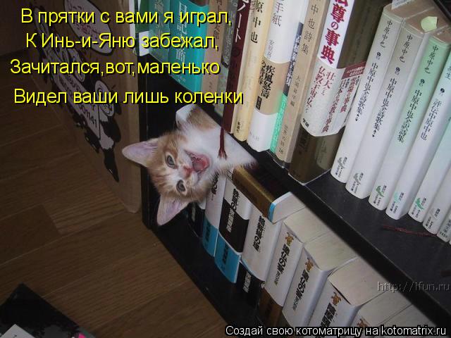 В прятки с вами я играл, К Инь-и-Яню забежал, Зачитался,вот,маленько Видел ваши лишь коленки... Котоматрица: В прятки с вами я играл, К Инь-и-Яню забежал, Зачитался,вот,маленько Видел ваши лишь коленки