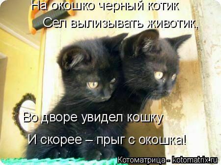 На окошко черный котик Сел вылизывать животик, Во дворе увидел кошку И скорее – прыг с окошка!... Котоматрица: На окошко черный котик Сел вылизывать животик, Во дворе увидел кошку И скорее – прыг с окошка!