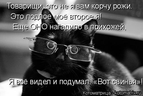 Товарищи, это не я вам корчу рожи. Это подлое моё второе я! Еще ОНО нагадило в прихожей, Я всё видел ... Котоматрица: Товарищи, это не я вам корчу рожи. Это подлое моё второе я! Еще ОНО нагадило в прихожей, Я всё видел и подумал: «Вот свинья»!