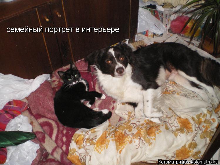 семейный портрет в интерьере... Котоматрица: семейный портрет в интерьере