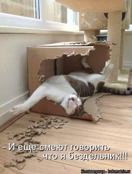 - И еще смеют говорить что я бездельник!!!... Котоматрица: - И еще смеют говорить что я бездельник!!!