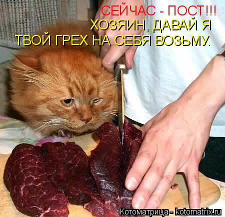 СЕЙЧАС - ПОСТ!!! ТВОЙ ГРЕХ НА СЕБЯ ВОЗЬМУ. ХОЗЯИН, ДАВАЙ Я... Котоматрица: СЕЙЧАС - ПОСТ!!! ТВОЙ ГРЕХ НА СЕБЯ ВОЗЬМУ. ХОЗЯИН, ДАВАЙ Я