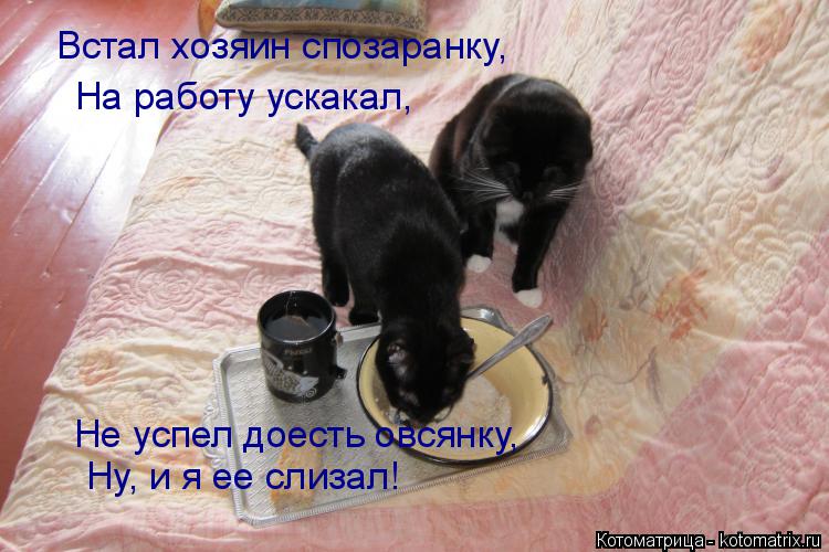 Встал хозяин спозаранку, На работу ускакал, Не успел доесть овсянку, Ну, и я ее слизал!... Котоматрица: Встал хозяин спозаранку, На работу ускакал, Не успел доесть овсянку, Ну, и я ее слизал!