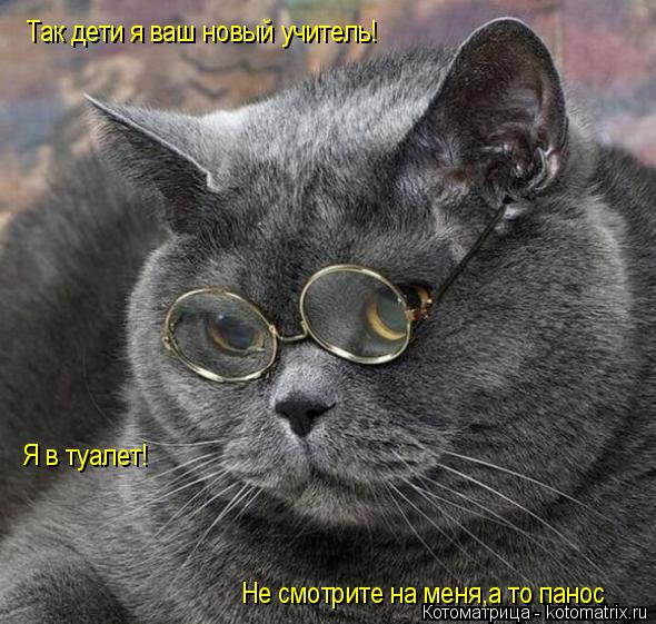 Так дети я ваш новый учитель! Я в туалет! Не смотрите на меня,а то панос... Котоматрица: Так дети я ваш новый учитель! Я в туалет! Не смотрите на меня,а то панос