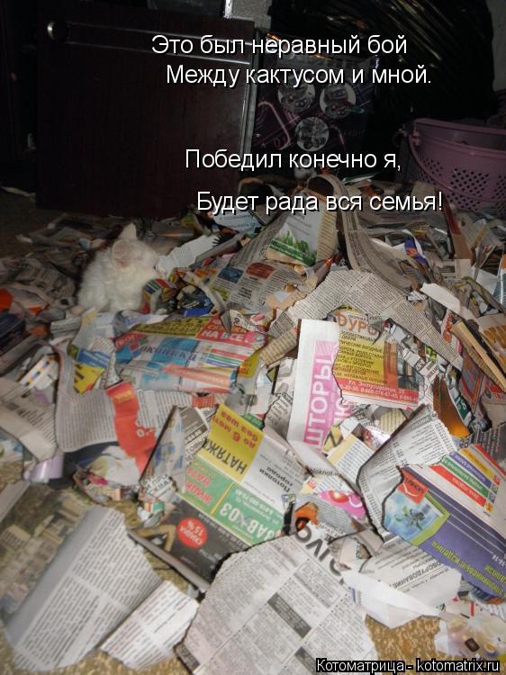 Это был неравный бой Между кактусом и мной. Победил конечно я, Будет рада вся семья!... Котоматрица: Это был неравный бой Между кактусом и мной. Победил конечно я, Будет рада вся семья!