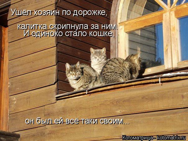 Ушёл хозяин по дорожке, калитка скрипнула за ним. И одиноко стало кошке, он был ей всё таки своим...... Котоматрица: Ушёл хозяин по дорожке, калитка скрипнула за ним. И одиноко стало кошке, он был ей всё таки своим...