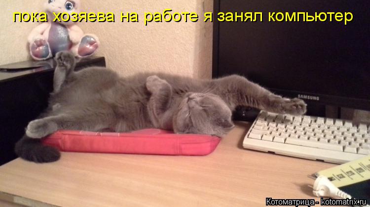 пока хозяева на работе я занял компьютер... Котоматрица: пока хозяева на работе я занял компьютер
