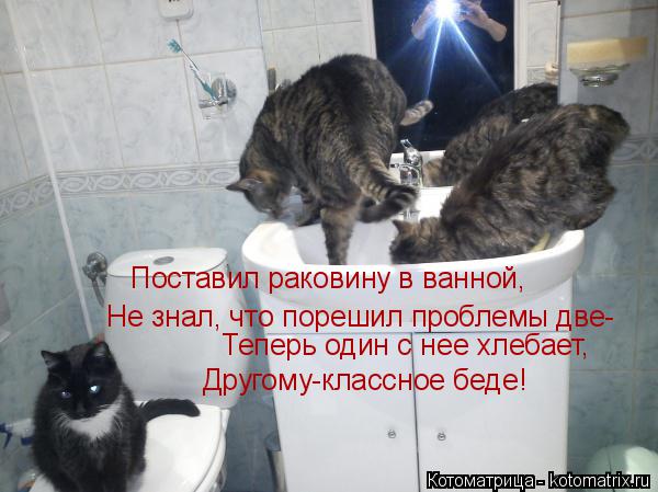 Поставил раковину в ванной, Не знал, что порешил проблемы две- Теперь один с нее хлебает, Другому-кла... Котоматрица: Поставил раковину в ванной, Не знал, что порешил проблемы две- Теперь один с нее хлебает, Другому-классное беде!
