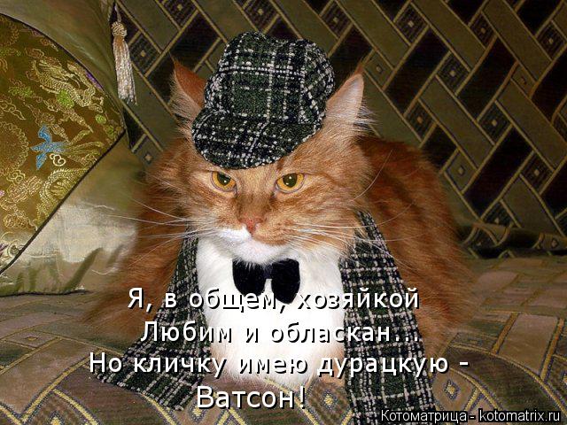 Я, в общем, хозяйкой Любим и обласкан... Но кличку имею дурацкую - Ватсон!... Котоматрица: Я, в общем, хозяйкой Любим и обласкан... Но кличку имею дурацкую - Ватсон!