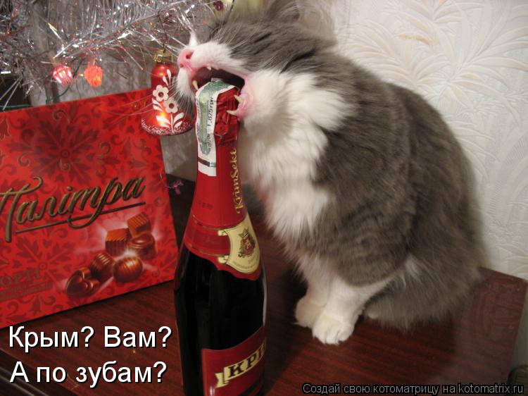 Крым? Вам? А по зубам?... Котоматрица: Крым? Вам? А по зубам?