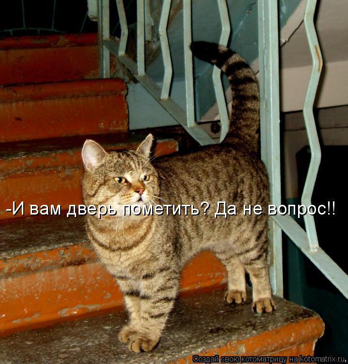 -И вам дверь пометить? Да не вопрос!!... Котоматрица: -И вам дверь пометить? Да не вопрос!!