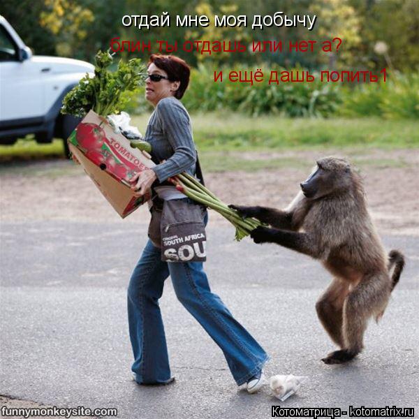 отдай мне моя добычу блин ты отдашь или нет а? блин ты отдашь или нет а? и ещё дашь попить1 и ещё даш... Котоматрица: отдай мне моя добычу блин ты отдашь или нет а? блин ты отдашь или нет а? и ещё дашь попить1 и ещё дашь попить1