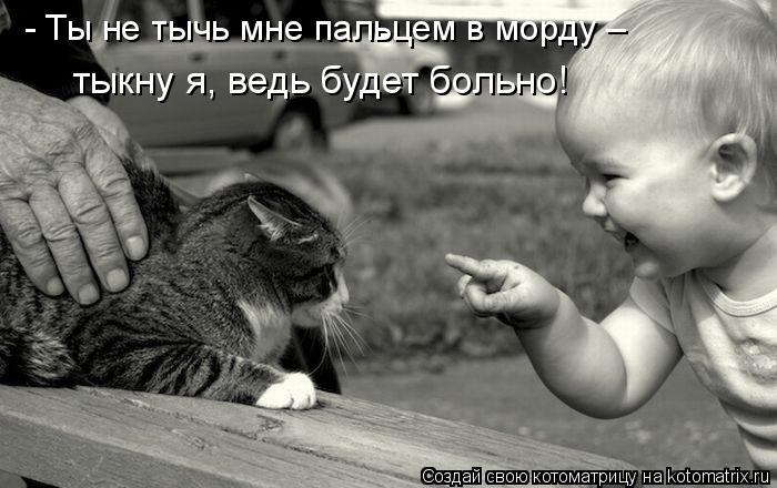 - Ты не тычь мне пальцем в морду – тыкну я, ведь будет больно!... Котоматрица: - Ты не тычь мне пальцем в морду – тыкну я, ведь будет больно!