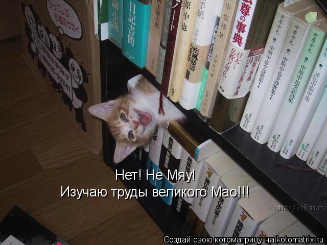 Нет! Не Мяу! Изучаю труды великого Мао!!!... Котоматрица: Нет! Не Мяу! Изучаю труды великого Мао!!!