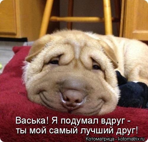 Васька! Я подумал вдруг - ты мой самый лучший друг!... Котоматрица: Васька! Я подумал вдруг - ты мой самый лучший друг!