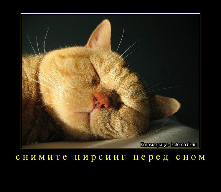 снимите пирсинг перед сном ... Котоматрица: снимите пирсинг перед сном