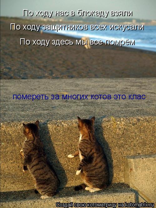 По ходу нас в блокаду взяли По ходу нас в блокаду взяли По ходу защитников всех искусали По ходу здес... Котоматрица: По ходу нас в блокаду взяли По ходу нас в блокаду взяли По ходу защитников всех искусали По ходу здесь мы все помрём помереть за многих кото