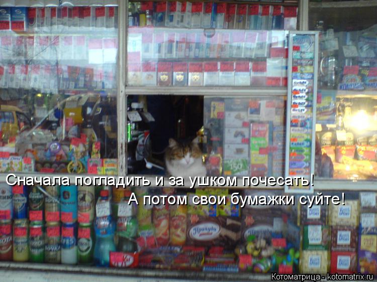 Сначала погладить и за ушком почесать! А потом свои бумажки суйте!... Котоматрица: Сначала погладить и за ушком почесать! А потом свои бумажки суйте!