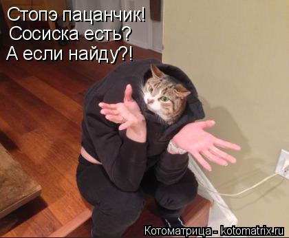 Стопэ пацанчик! Сосиска есть? А если найду?!... Котоматрица: Стопэ пацанчик! Сосиска есть? А если найду?!