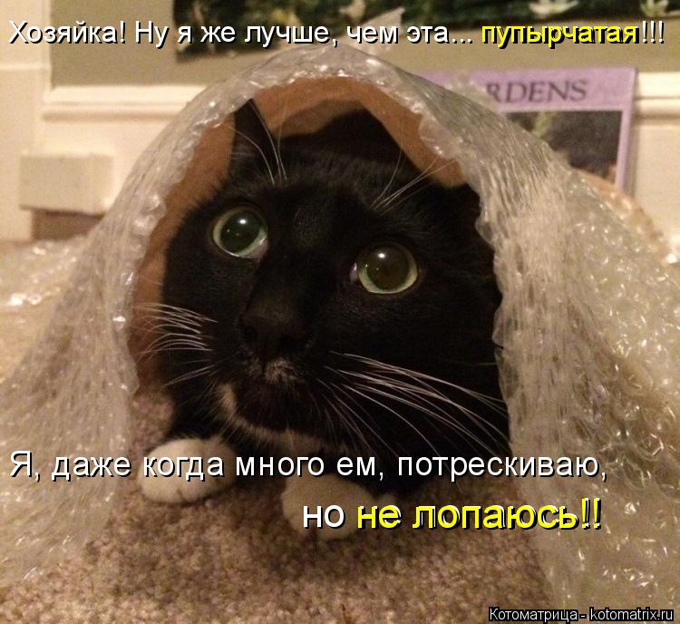 Хозяйка! Ну я же лучше, чем эта... пупырчатая!!! Я, даже когда много ем, потрескиваю, но не лопаюсь!... Котоматрица: Хозяйка! Ну я же лучше, чем эта... пупырчатая!!! Я, даже когда много ем, потрескиваю, но не лопаюсь!! не лопаюсь!! пупырчатая