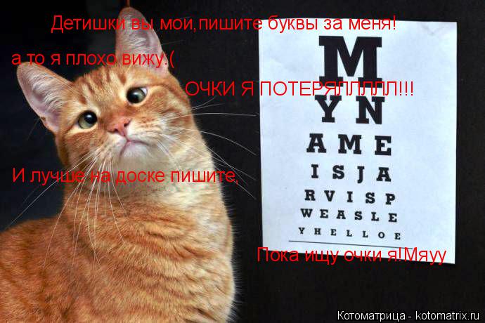 Детишки вы мои,пишите буквы за меня! а то я плохо вижу:( ОЧКИ Я ПОТЕРЯЛЛЛЛЛ!!! И лучше на доске пишит... Котоматрица: Детишки вы мои,пишите буквы за меня! а то я плохо вижу:( ОЧКИ Я ПОТЕРЯЛЛЛЛЛ!!! И лучше на доске пишите, Пока ищу очки я!Мяуу