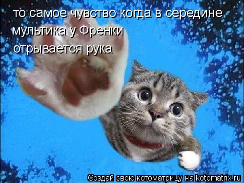 то самое чувство когда в середине мультика у Френки отрывается рука... Котоматрица: то самое чувство когда в середине мультика у Френки отрывается рука