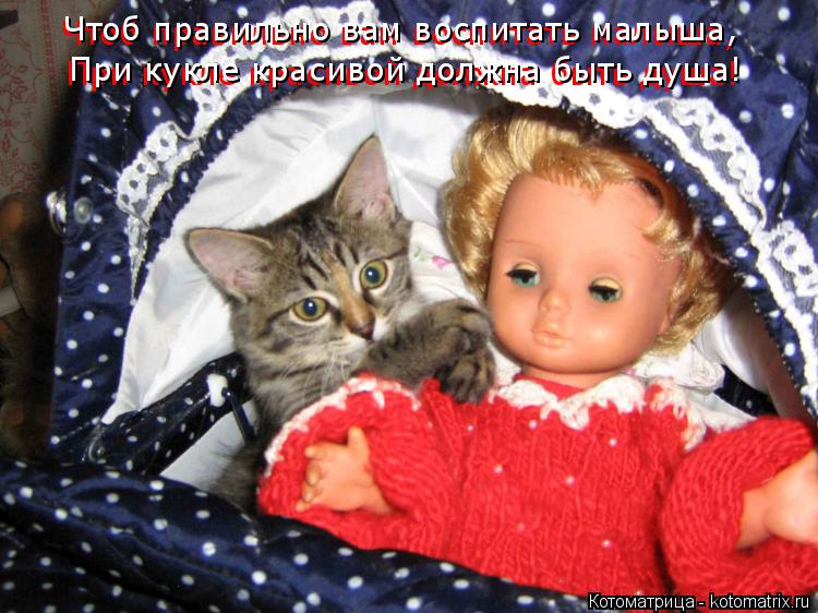 Чтоб правильно вам воспитать малыша, Чтоб правильно вам воспитать малыша, При кукле красивой должна б... Котоматрица: Чтоб правильно вам воспитать малыша, Чтоб правильно вам воспитать малыша, При кукле красивой должна быть душа! При кукле красивой должна бы