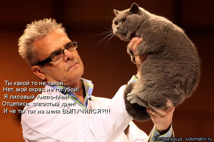 Ты какой то не такой... Нет, мой окрас не голубой! Я лиловый Англо-Мен! Отцепись..очкастый хрен! И че... Котоматрица: Ты какой то не такой... Нет, мой окрас не голубой! Я лиловый Англо-Мен! Отцепись..очкастый хрен! И че ты так на меня ВЫПУЧИЛСЯ?!!!