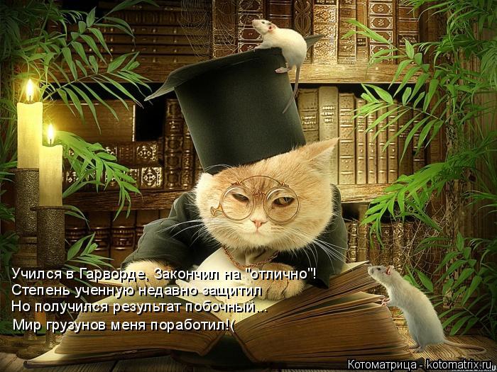 Учился в Гарворде, Закончил на "отлично"! Степень ученную недавно защитил Но получился результат побо... Котоматрица: Учился в Гарворде, Закончил на "отлично"! Степень ученную недавно защитил Но получился результат побочный... Мир грузунов меня поработил!(