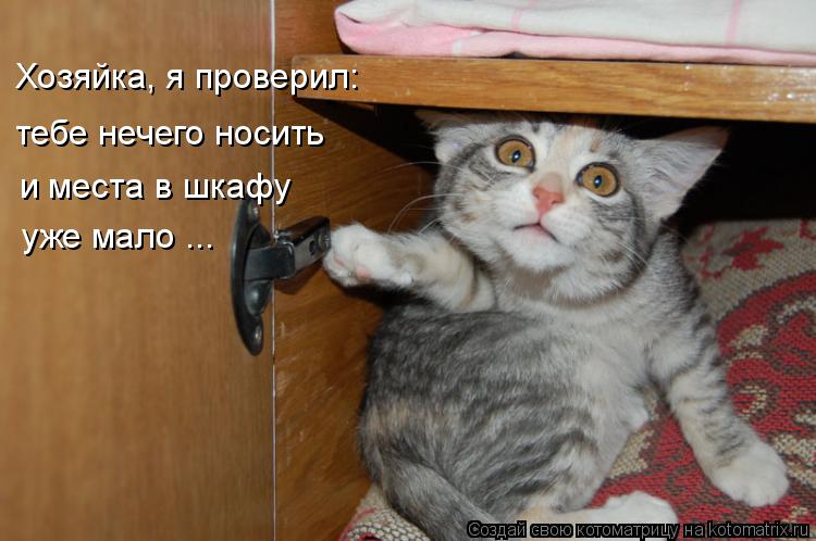 Хозяйка, я проверил: тебе нечего носить и места в шкафу уже мало ...... Котоматрица: Хозяйка, я проверил: тебе нечего носить и места в шкафу уже мало ...